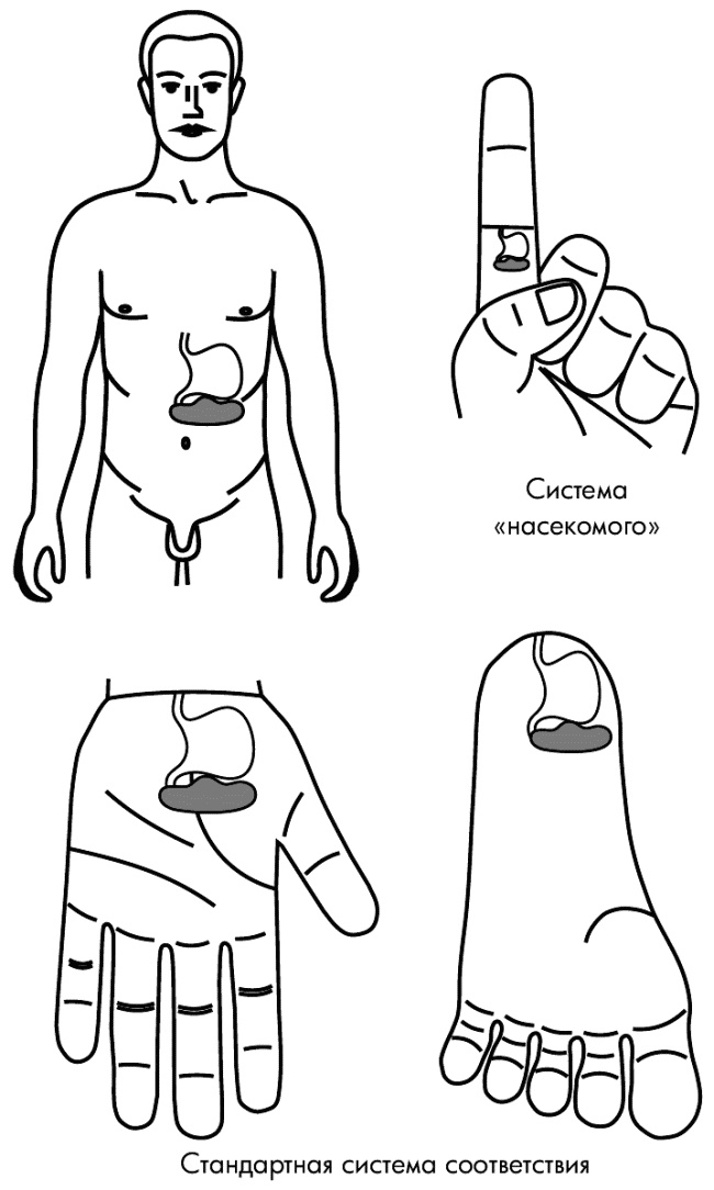 Иллюстрация к книге — Су-Джок лечит. Мигрень, кашель, боль в спине, тяжесть в желудке [i_113.jpg]