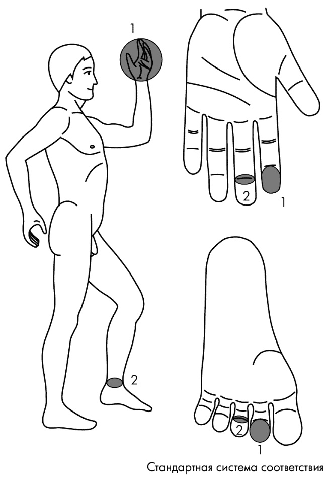 Иллюстрация к книге — Су-Джок лечит. Мигрень, кашель, боль в спине, тяжесть в желудке [i_123.jpg]