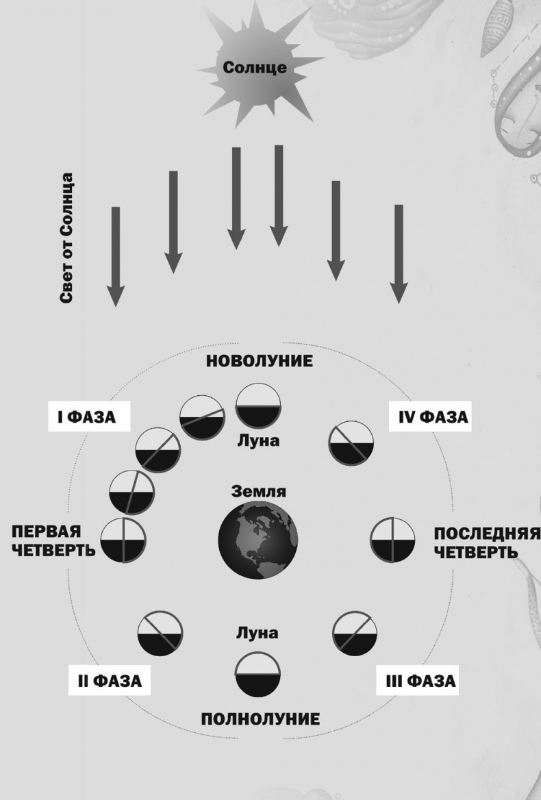 Иллюстрация к книге — Практическая астрология. Руководство по составлению гороскопов [i_030.jpg]