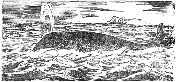 Иллюстрация к книге — Увлекательно о космосе. Межпланетные путешествия [i_086.jpg]