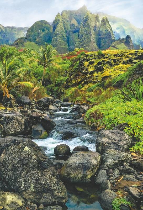 Иллюстрация к книге — Хоопонопоно. Гавайские практики для счастливой жизни [i_005.jpg]