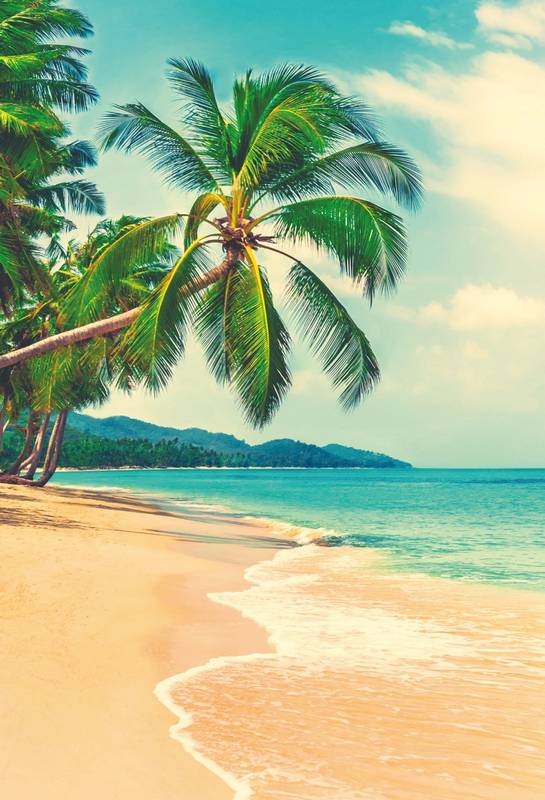 Иллюстрация к книге — Хоопонопоно. Гавайские практики для счастливой жизни [i_006.jpg]