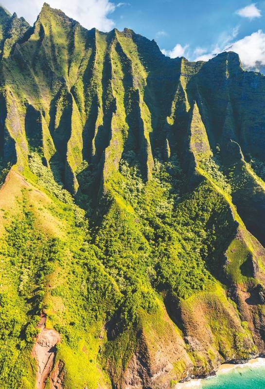 Иллюстрация к книге — Хоопонопоно. Гавайские практики для счастливой жизни [i_011.jpg]