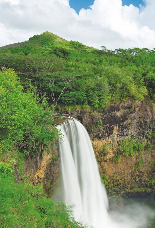 Иллюстрация к книге — Хоопонопоно. Гавайские практики для счастливой жизни [i_012.jpg]