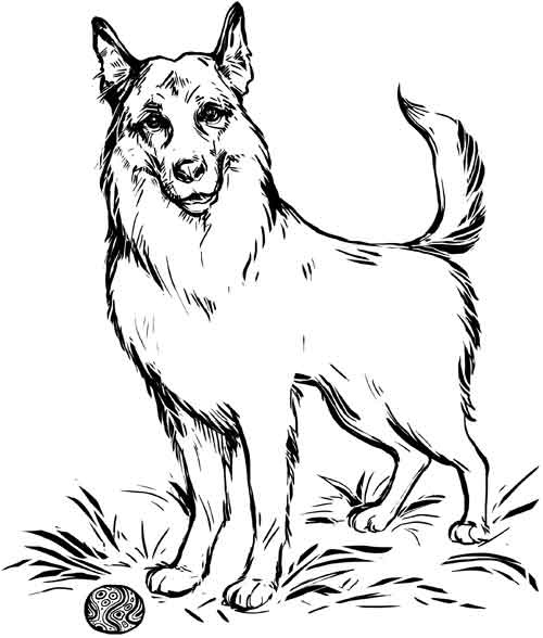 Иллюстрация к книге — Сантехник с пылу и с жаром [_01.jpg]