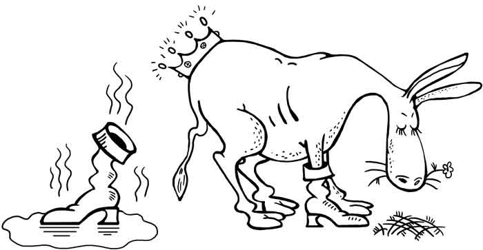 Иллюстрация к книге — Сантехник с пылу и с жаром [_09.jpg]