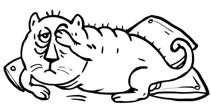 Иллюстрация к книге — Сантехник с пылу и с жаром [_16.jpg]