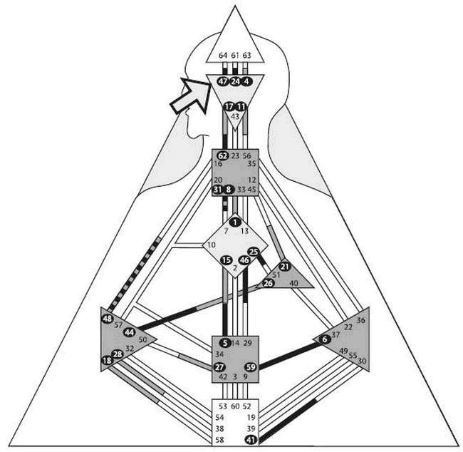 Иллюстрация к книге — Дизайн безоблачной жизни. Большая книга практик и медитаций для всего и от всего [i_005.jpg]