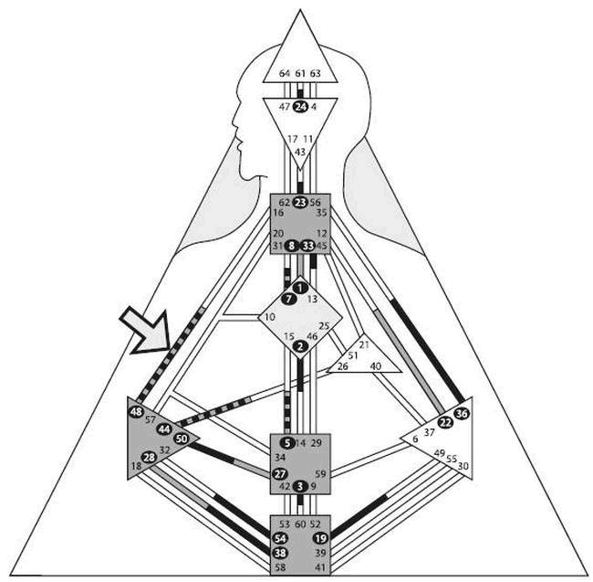 Иллюстрация к книге — Дизайн безоблачной жизни. Большая книга практик и медитаций для всего и от всего [i_015.jpg]