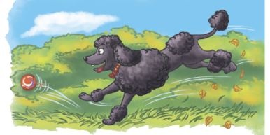 Иллюстрация к книге — Кефир, Гаврош и Рикошет. Возвращение Крысиной королевы [i_025.jpg]