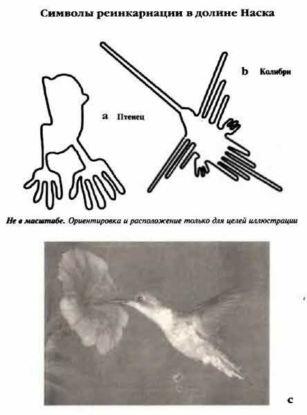 Иллюстрация к книге — Белые божества инков [i_072.jpg]