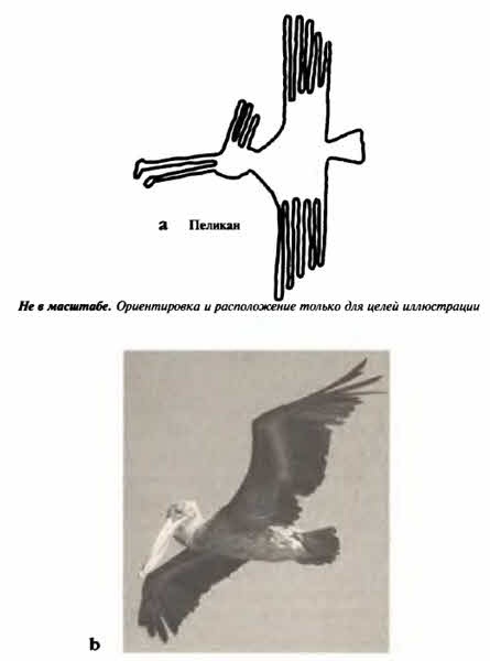 Иллюстрация к книге — Белые божества инков [i_075.jpg]