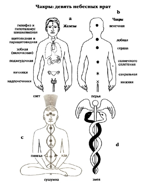 Иллюстрация к книге — Белые божества инков [i_091.jpg]