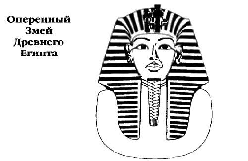 Иллюстрация к книге — Белые божества инков [i_100.jpg]