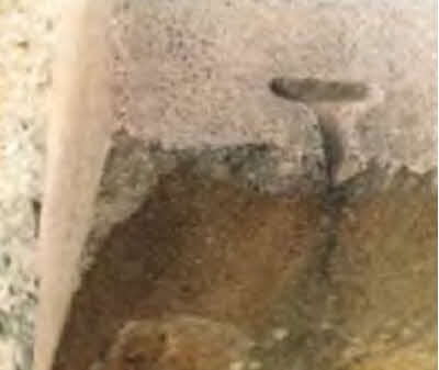 Иллюстрация к книге — Белые божества инков [i_125.jpg]