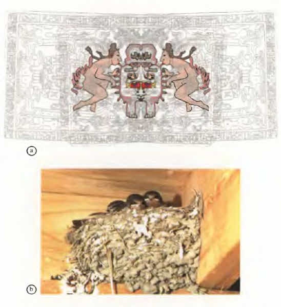 Иллюстрация к книге — Белые божества инков [i_133.jpg]