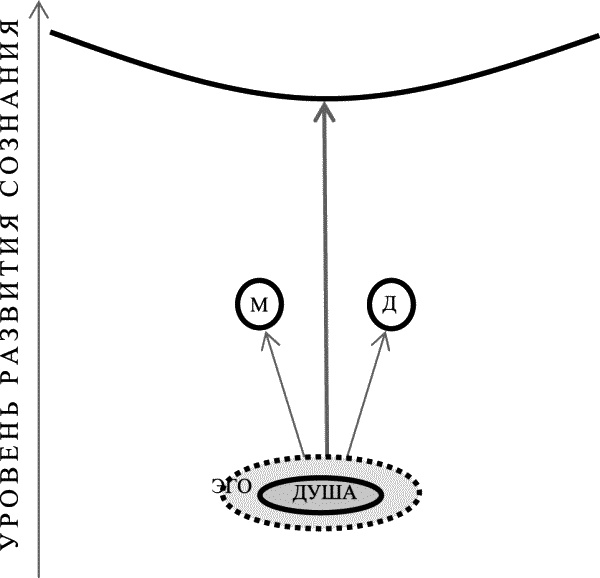 Иллюстрация к книге — Счастье без границ. Поиски настоящего смысла жизни. Беседы с теми, кто его нашел [_2.jpg]
