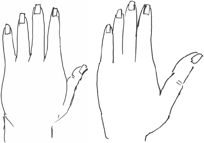 Иллюстрация к книге — Сам себе палач. Как сохранить и улучшить свою жизнь [_20.jpg]