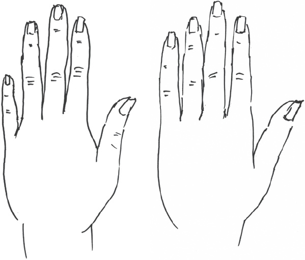 Иллюстрация к книге — Сам себе палач. Как сохранить и улучшить свою жизнь [_23.jpg]