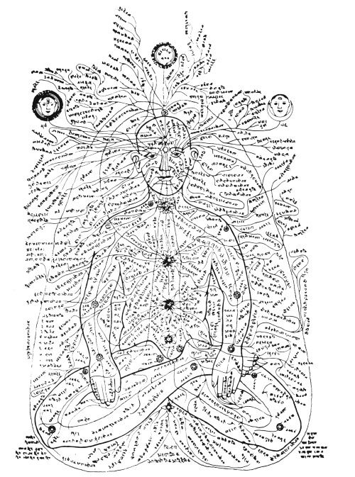 Иллюстрация к книге — Чакры. Полная энциклопедия [i_007.jpg]
