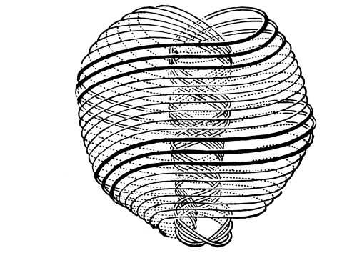 Иллюстрация к книге — Чакры. Полная энциклопедия [i_009.jpg]
