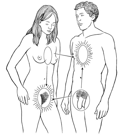 Иллюстрация к книге — Чакры. Полная энциклопедия [i_012.jpg]