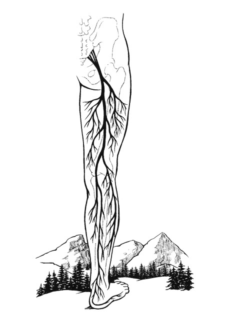 Иллюстрация к книге — Чакры. Полная энциклопедия [i_016.jpg]