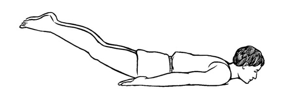 Иллюстрация к книге — Чакры. Полная энциклопедия [i_022.jpg]