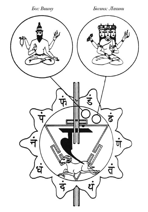 Иллюстрация к книге — Чакры. Полная энциклопедия [i_040.jpg]