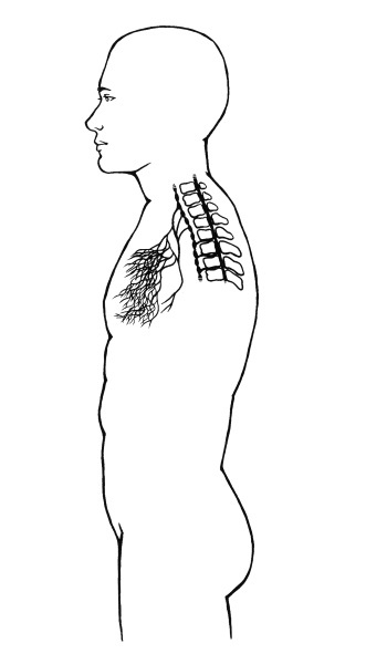 Иллюстрация к книге — Чакры. Полная энциклопедия [i_048.jpg]