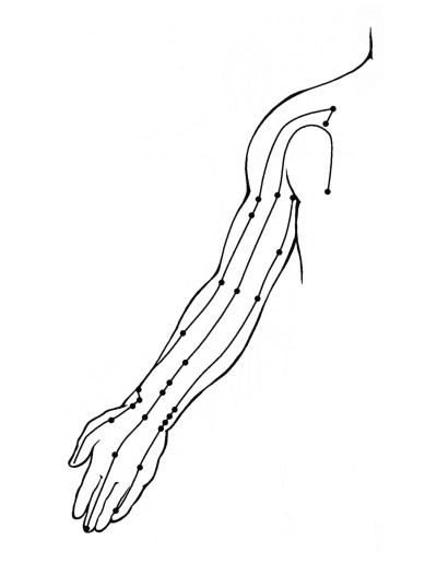 Иллюстрация к книге — Чакры. Полная энциклопедия [i_051.jpg]