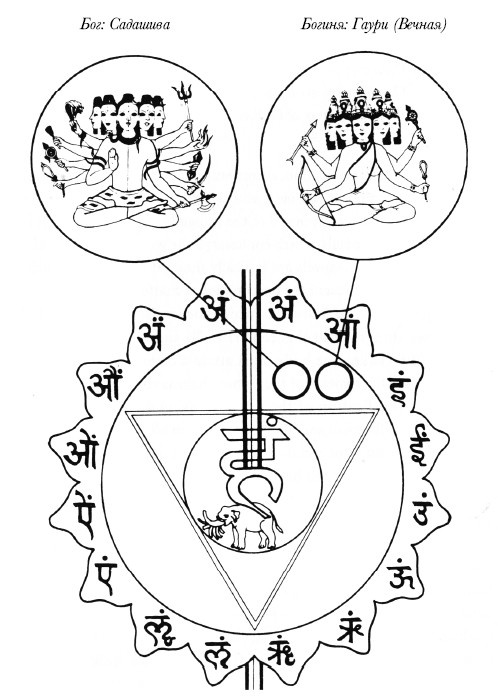 Иллюстрация к книге — Чакры. Полная энциклопедия [i_057.jpg]