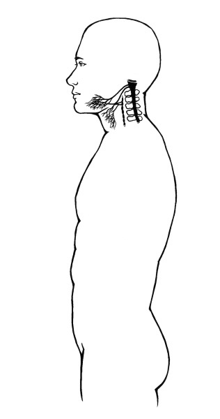 Иллюстрация к книге — Чакры. Полная энциклопедия [i_058.jpg]