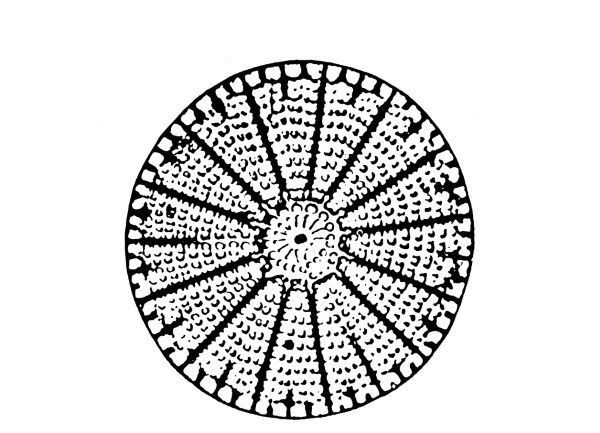 Иллюстрация к книге — Чакры. Полная энциклопедия [i_059.jpg]