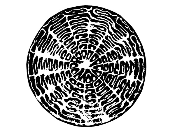 Иллюстрация к книге — Чакры. Полная энциклопедия [i_060.jpg]