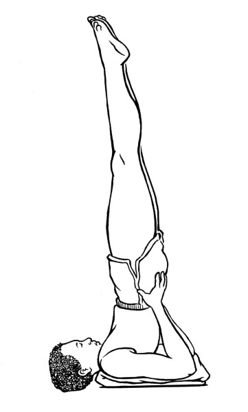 Иллюстрация к книге — Чакры. Полная энциклопедия [i_067.jpg]