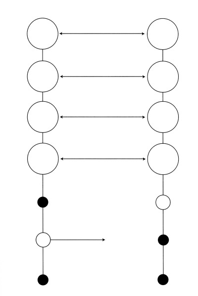 Иллюстрация к книге — Чакры. Полная энциклопедия [i_084.jpg]