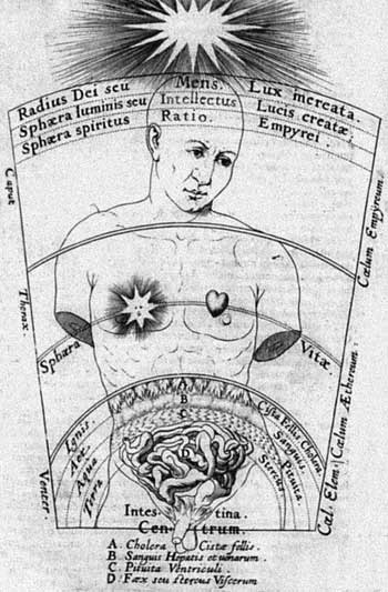 Иллюстрация к книге — Уральская Гиперборея [i_017.jpg]