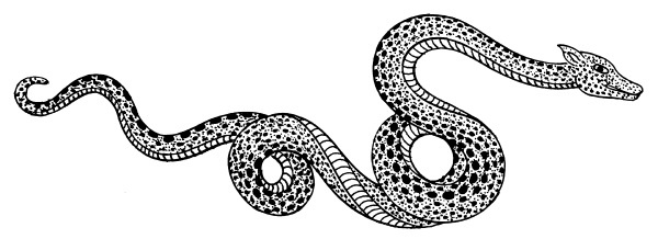 Иллюстрация к книге — Великий путь пробуждения. Комментарий к поучениям Махаяны о семи пунктах тренировки ума [i_002.jpg]