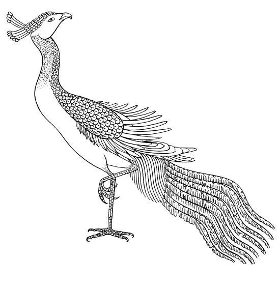 Иллюстрация к книге — Великий путь пробуждения. Комментарий к поучениям Махаяны о семи пунктах тренировки ума [i_011.jpg]