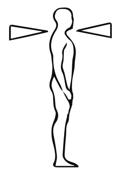 Иллюстрация к книге — Многомерная модель человека. Энергоинформационные причины возникновения заболеваний [i_011.jpg]