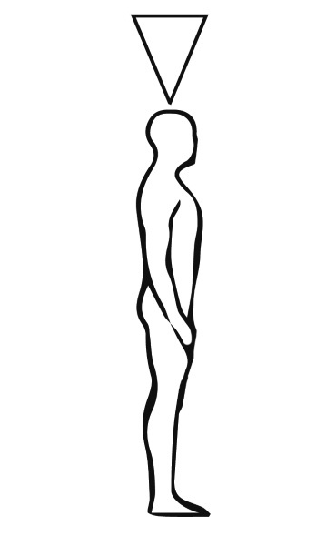 Иллюстрация к книге — Многомерная модель человека. Энергоинформационные причины возникновения заболеваний [i_013.jpg]