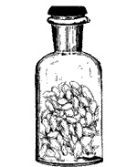 Иллюстрация к книге — Круг Года. Викканские праздники, их атрибуты и значение [_214.jpg]