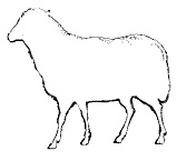 Иллюстрация к книге — Круг Года. Викканские праздники, их атрибуты и значение [_215.jpg]