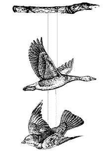 Иллюстрация к книге — Круг Года. Викканские праздники, их атрибуты и значение [_216.jpg]