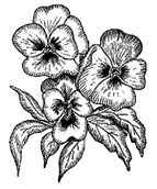 Иллюстрация к книге — Круг Года. Викканские праздники, их атрибуты и значение [_302.jpg]