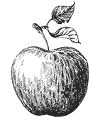 Иллюстрация к книге — Круг Года. Викканские праздники, их атрибуты и значение [_386.jpg]