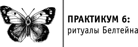Иллюстрация к книге — Круг Года. Викканские праздники, их атрибуты и значение [_388.jpg]