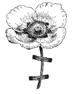 Иллюстрация к книге — Круг Года. Викканские праздники, их атрибуты и значение [_432.jpg]