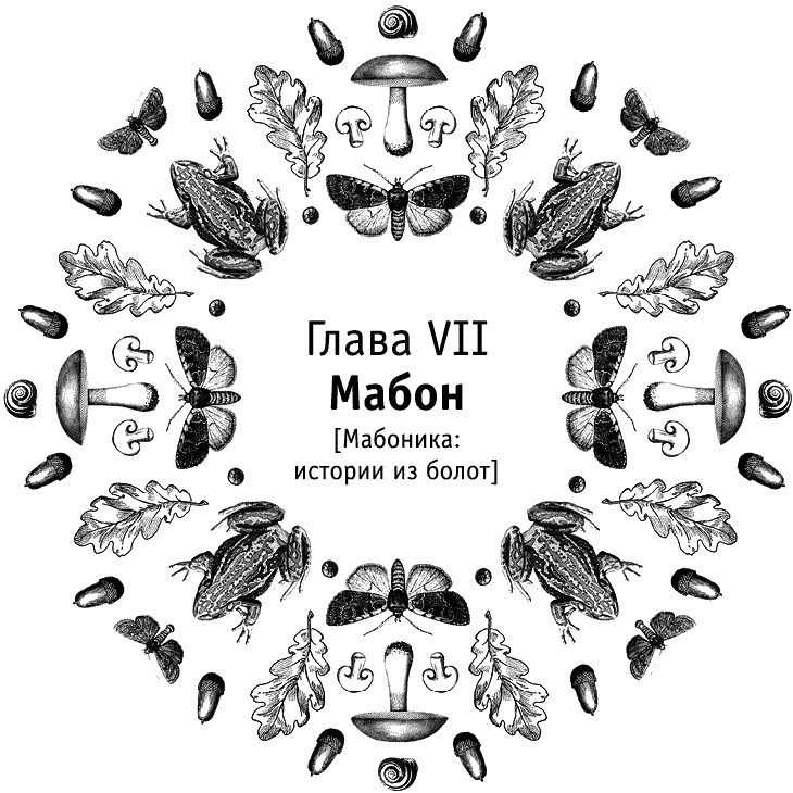 Иллюстрация к книге — Круг Года. Викканские праздники, их атрибуты и значение [_548.jpg]